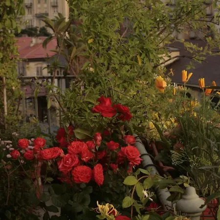 Center Palace Bed & Breakfast